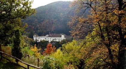 Blick auf Schloss Herberstein